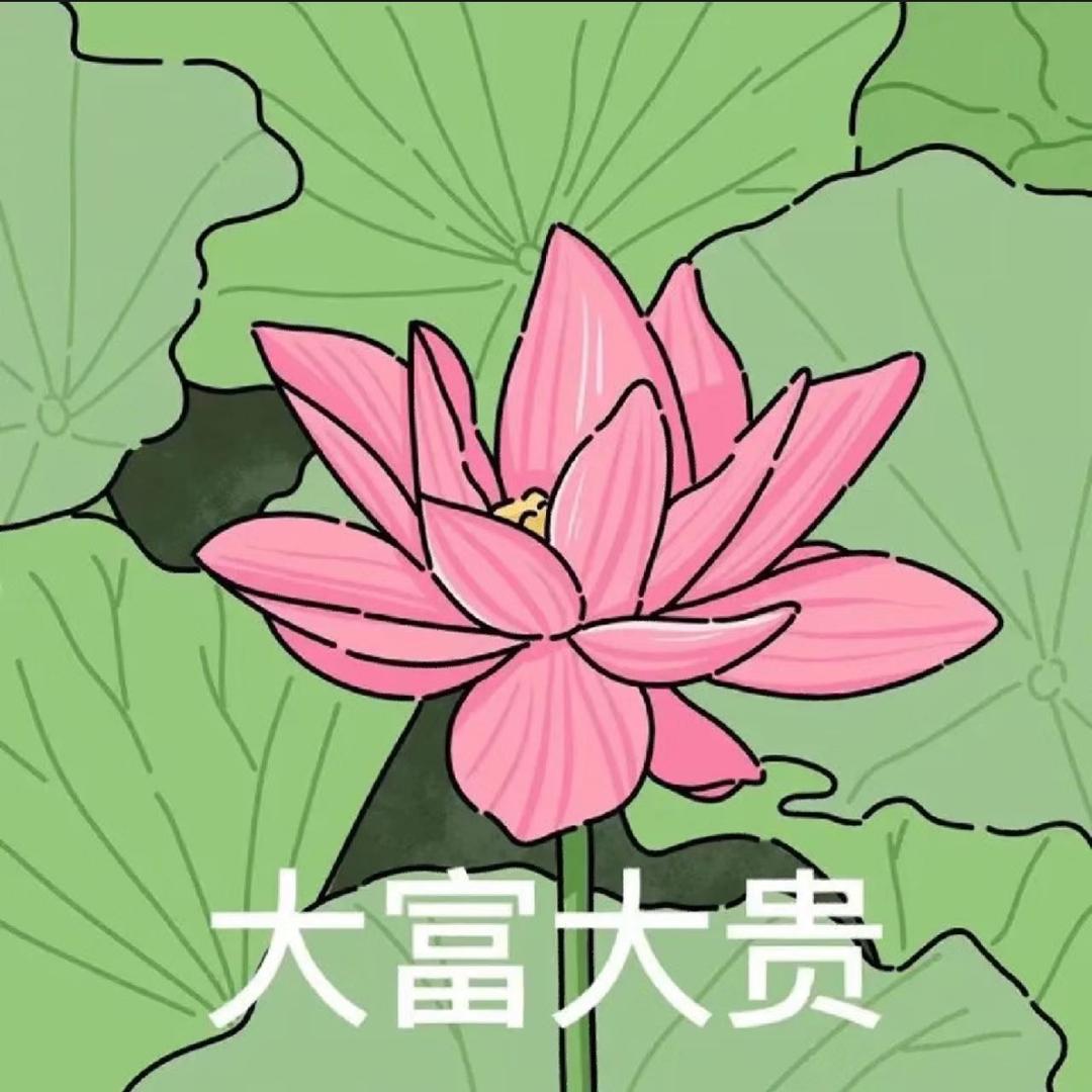 Gaojor