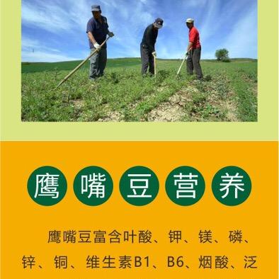 新疆天山奇豆生物科技有限责任公司