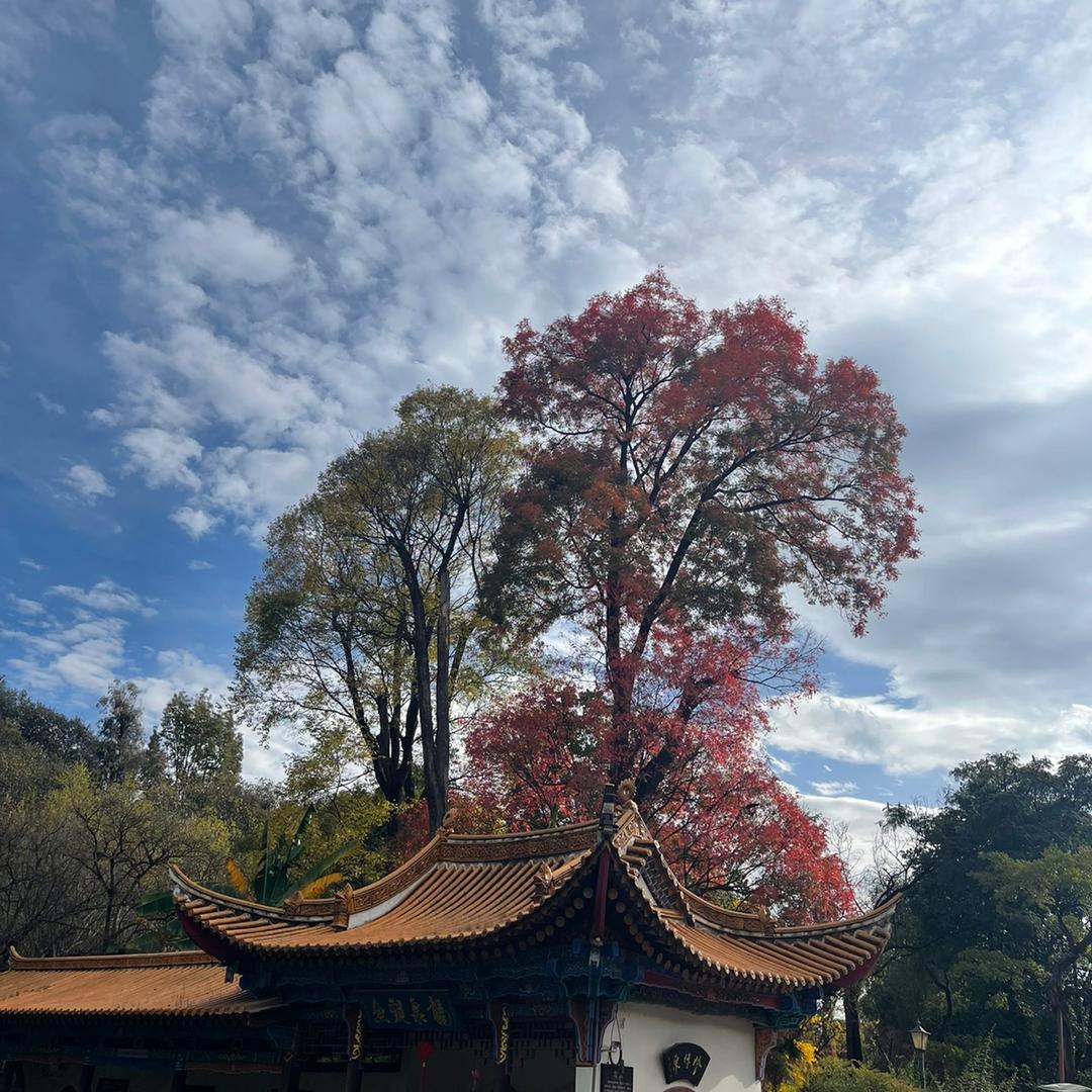 辰道 -手机批发🍎