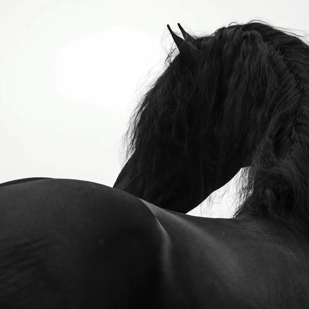 ㅤ 陆