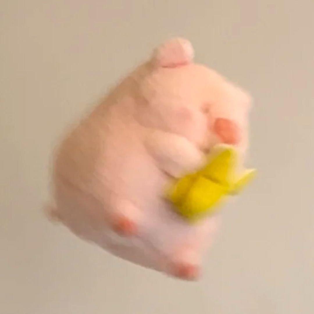 甜甜甜甜儿