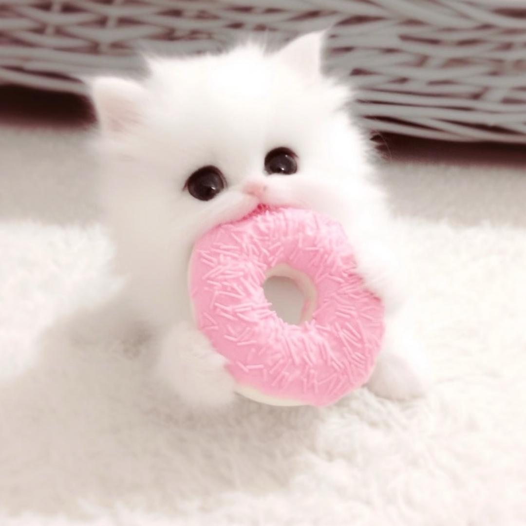 敏感
