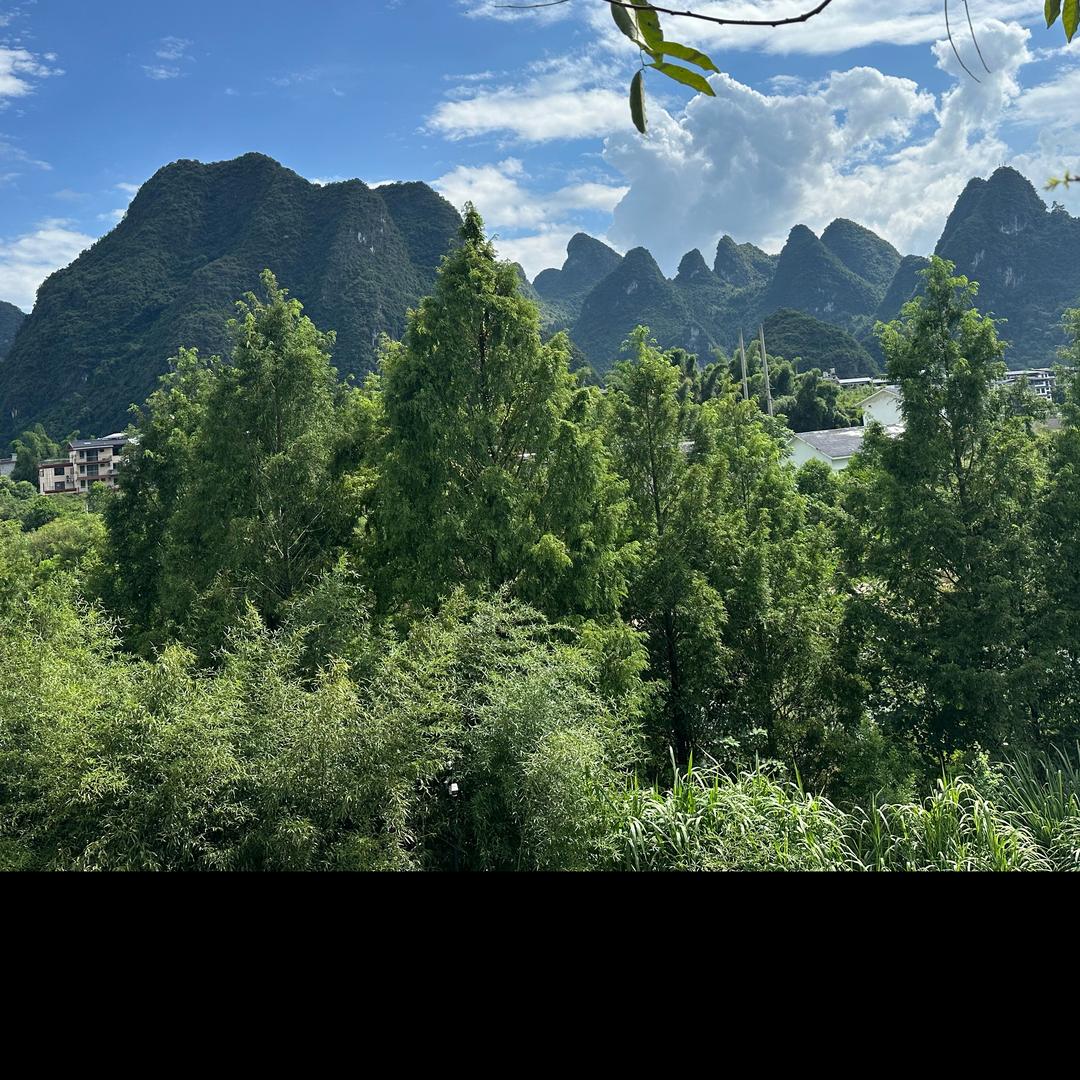 见醉酒