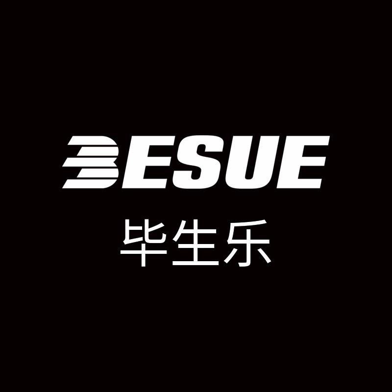 BESUE 毕生乐 数码科技
