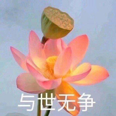 徐热