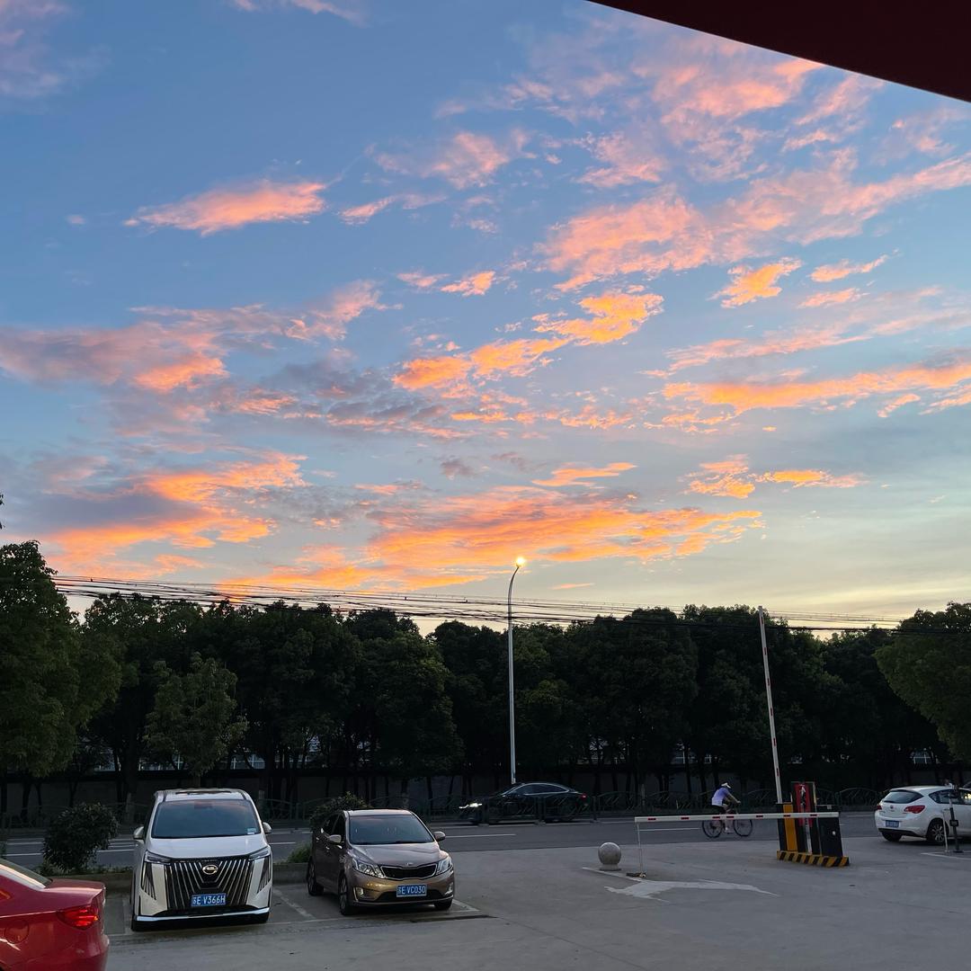 汤圆先生来追番