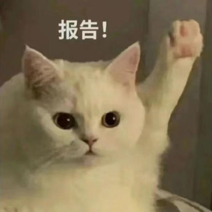 你的澜朋友