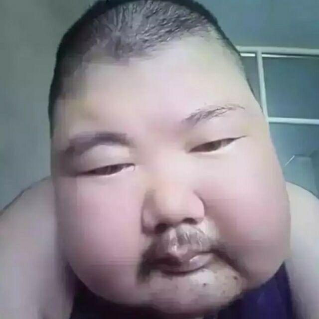 一条从不想翻身的咸鱼