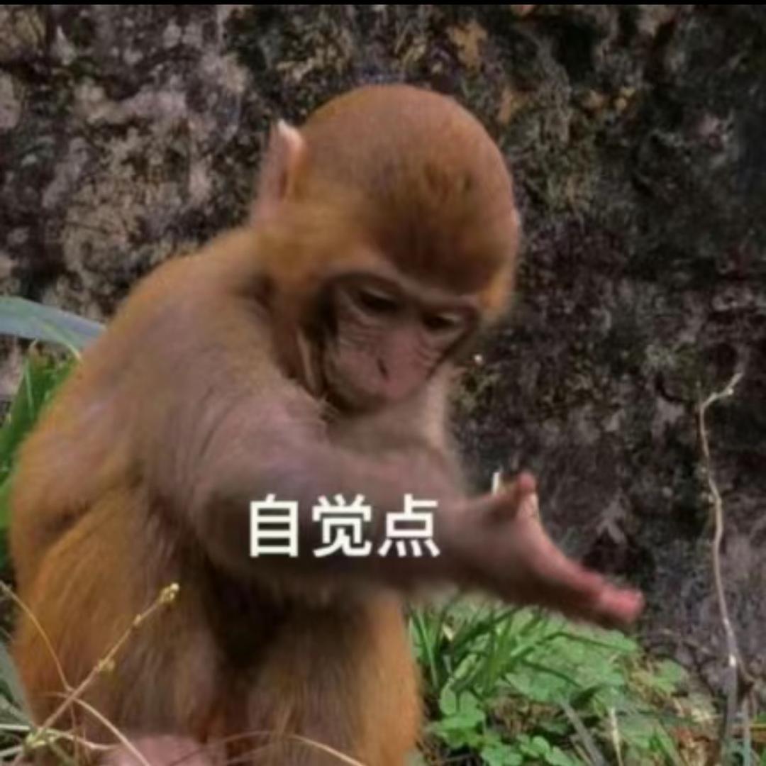 叽里咕噜说啥呢