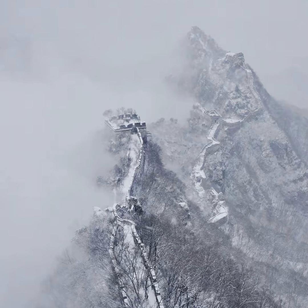 大隐于市