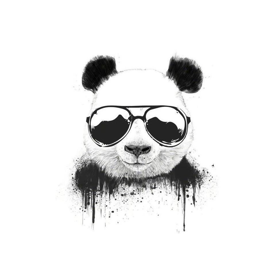 大迪