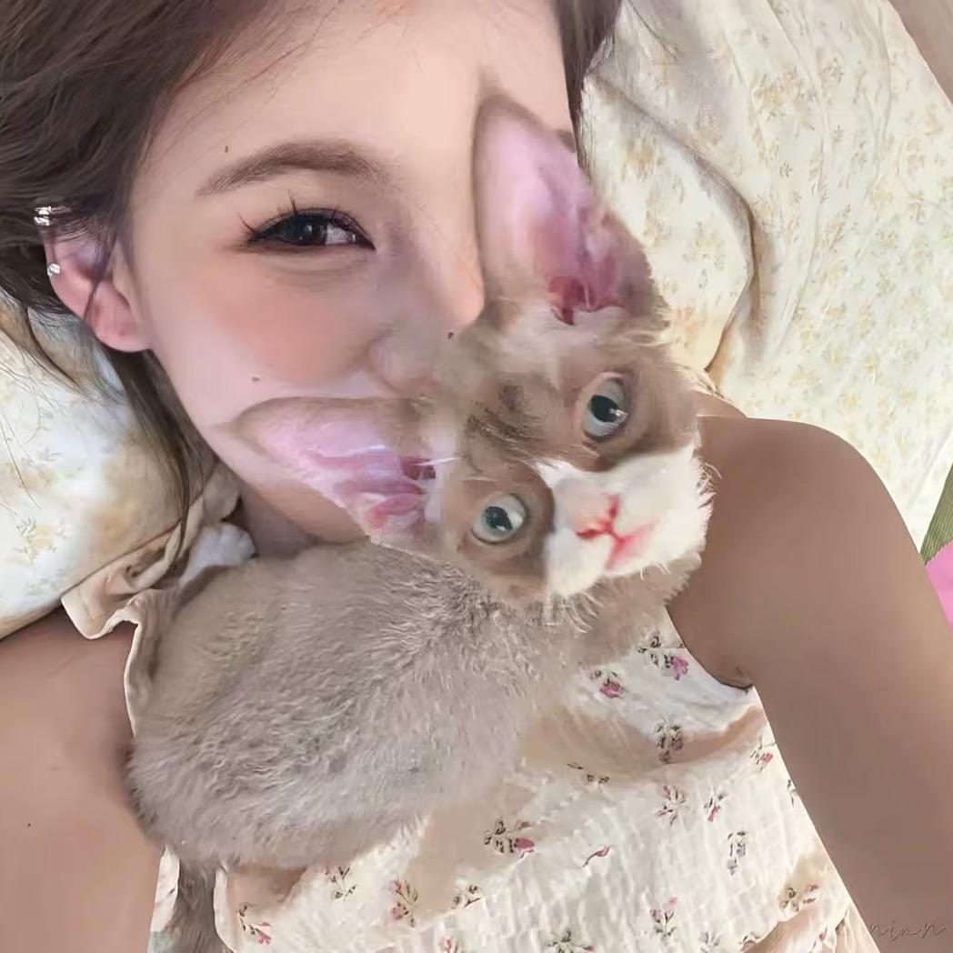 ᴀᴅɪʟᴀ.ོ