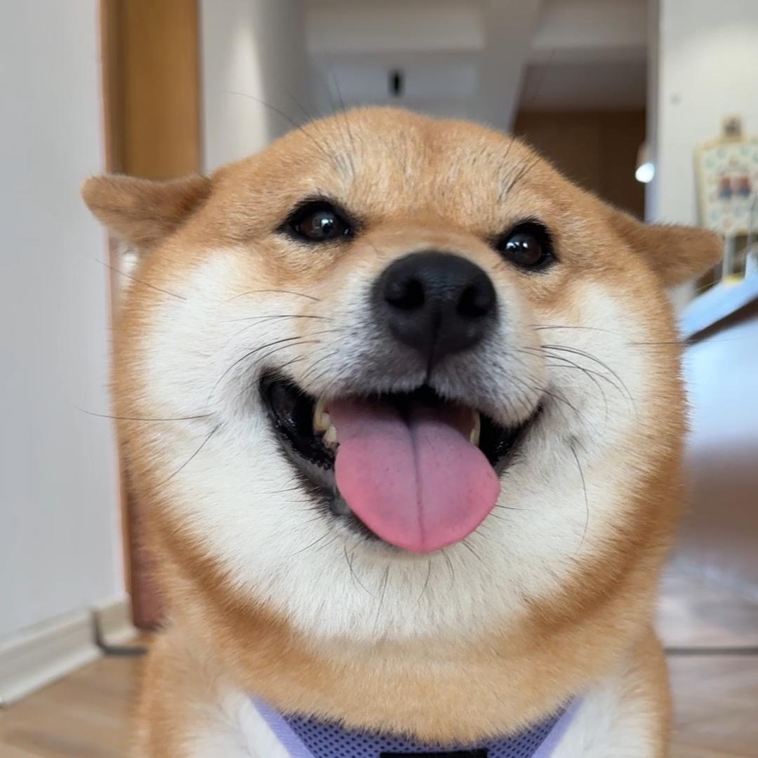 小柴佩妮