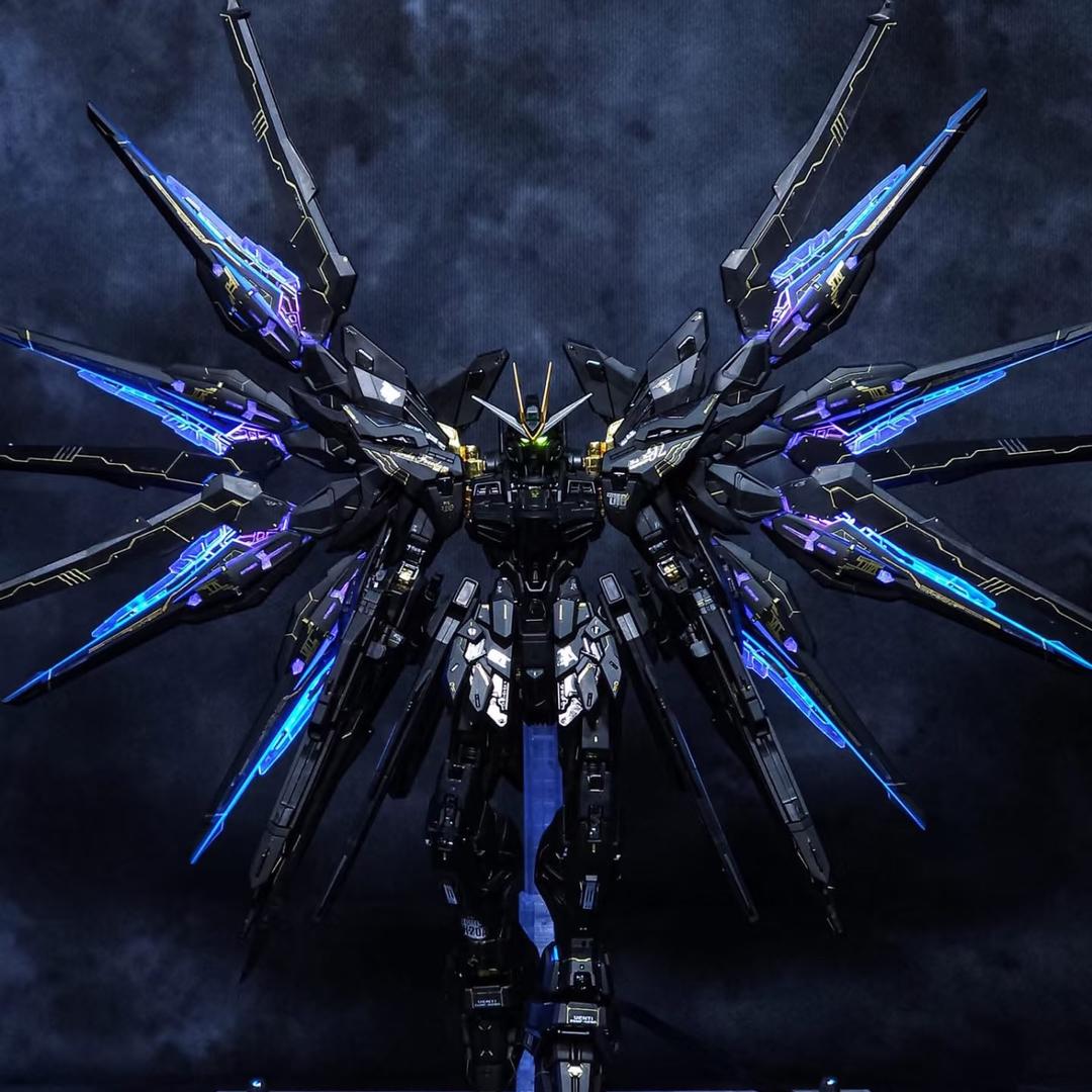 ꧁꫞꯭陈小佳꫞꧂