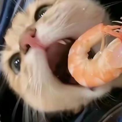 ·