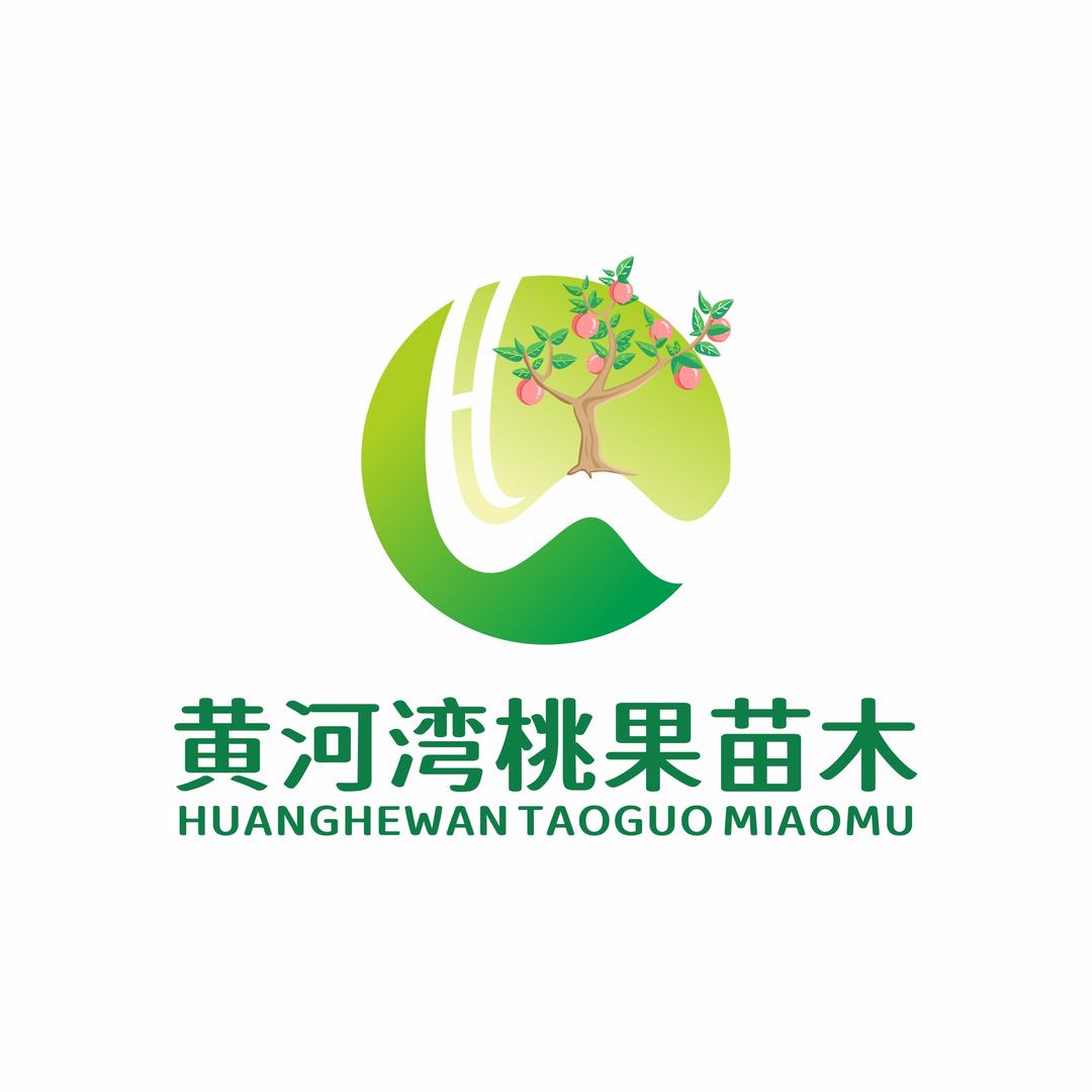 黄河湾桃果苗木
