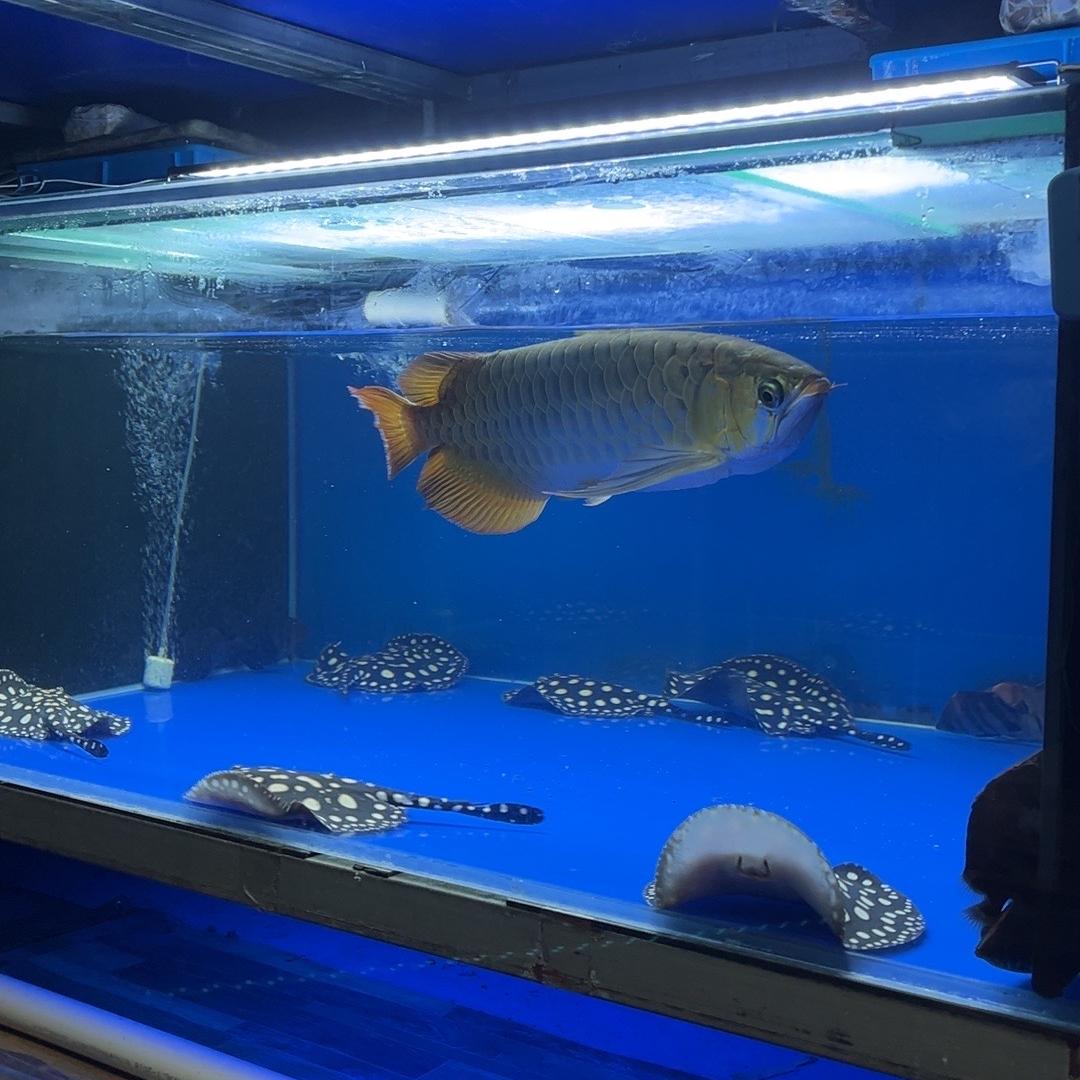 杭州钱塘虎舍渔场