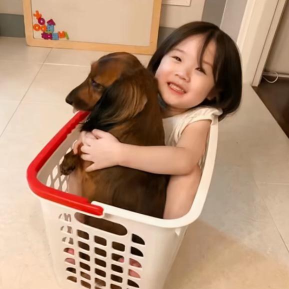 向僵尸开炮—饭饭