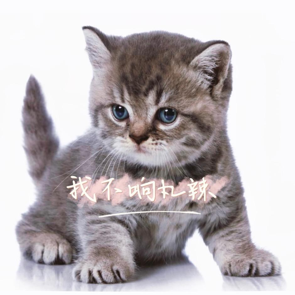 兔鸟管理员