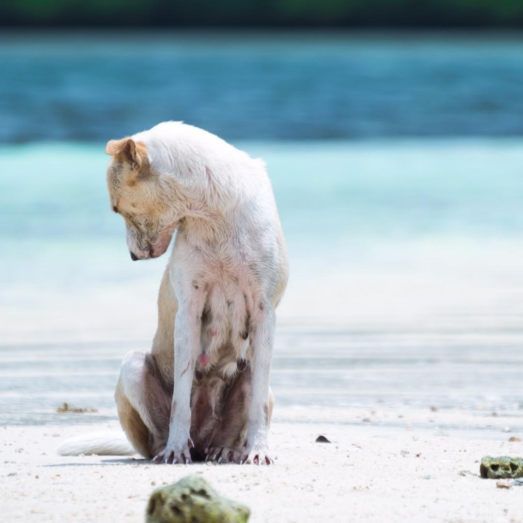 摄影小叔（男生版）📷