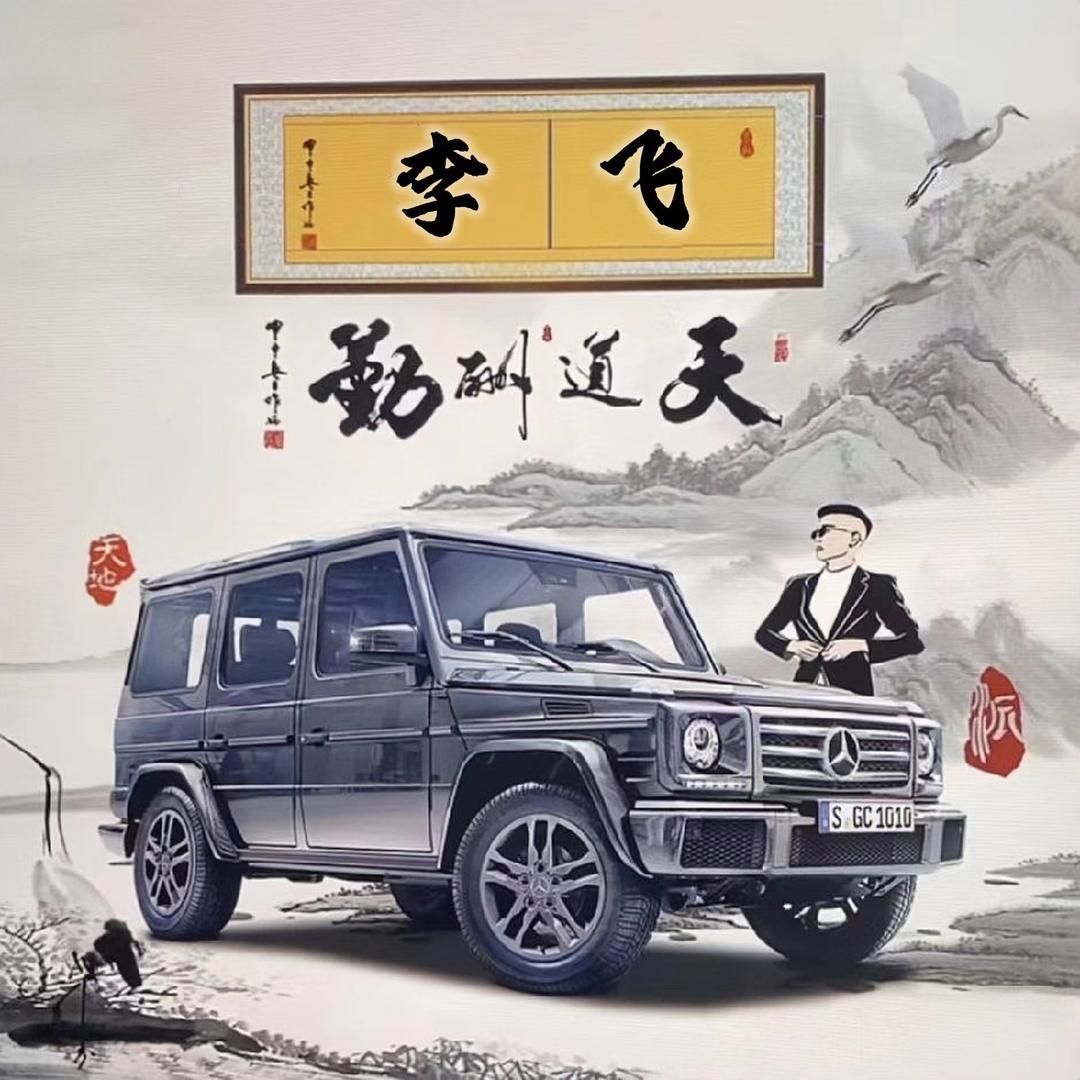 柴胡，黄芩李飞