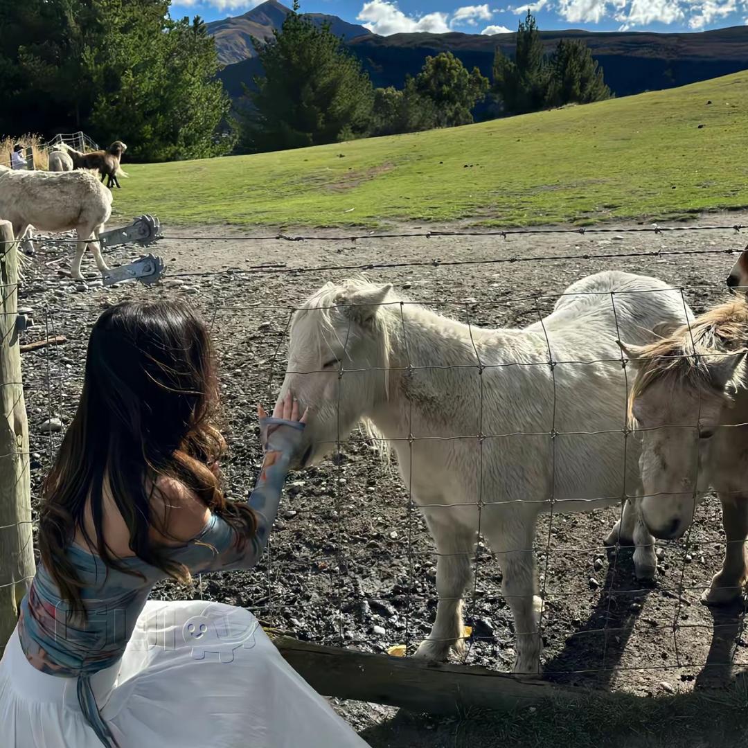 ᝰꫛꪮꪮꫜ 🌙