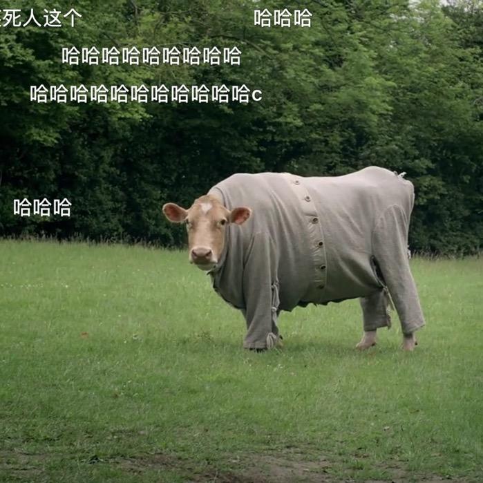 你呀你
