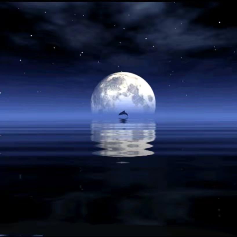 有一个梦想（装饰小哥）