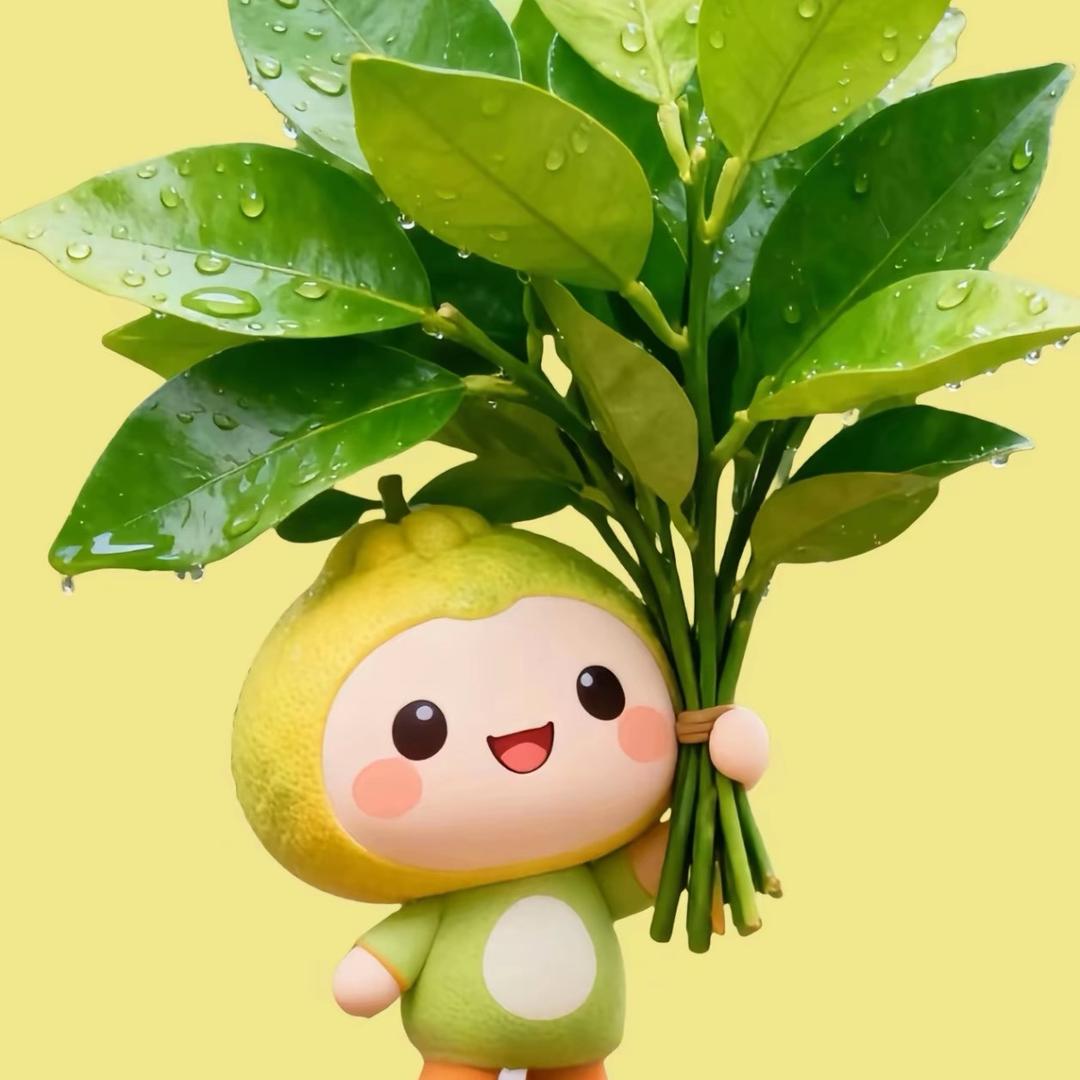 随心🍃