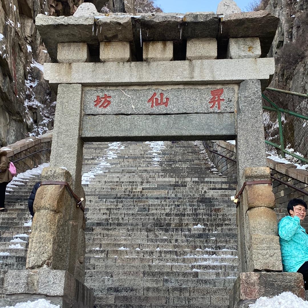 那天狂揍喵