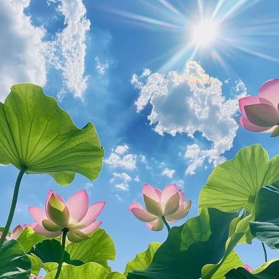 林森火