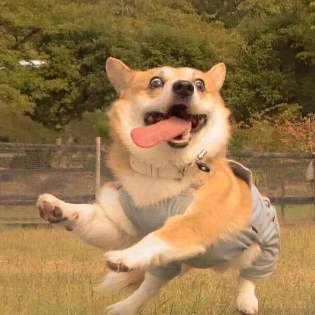shylie