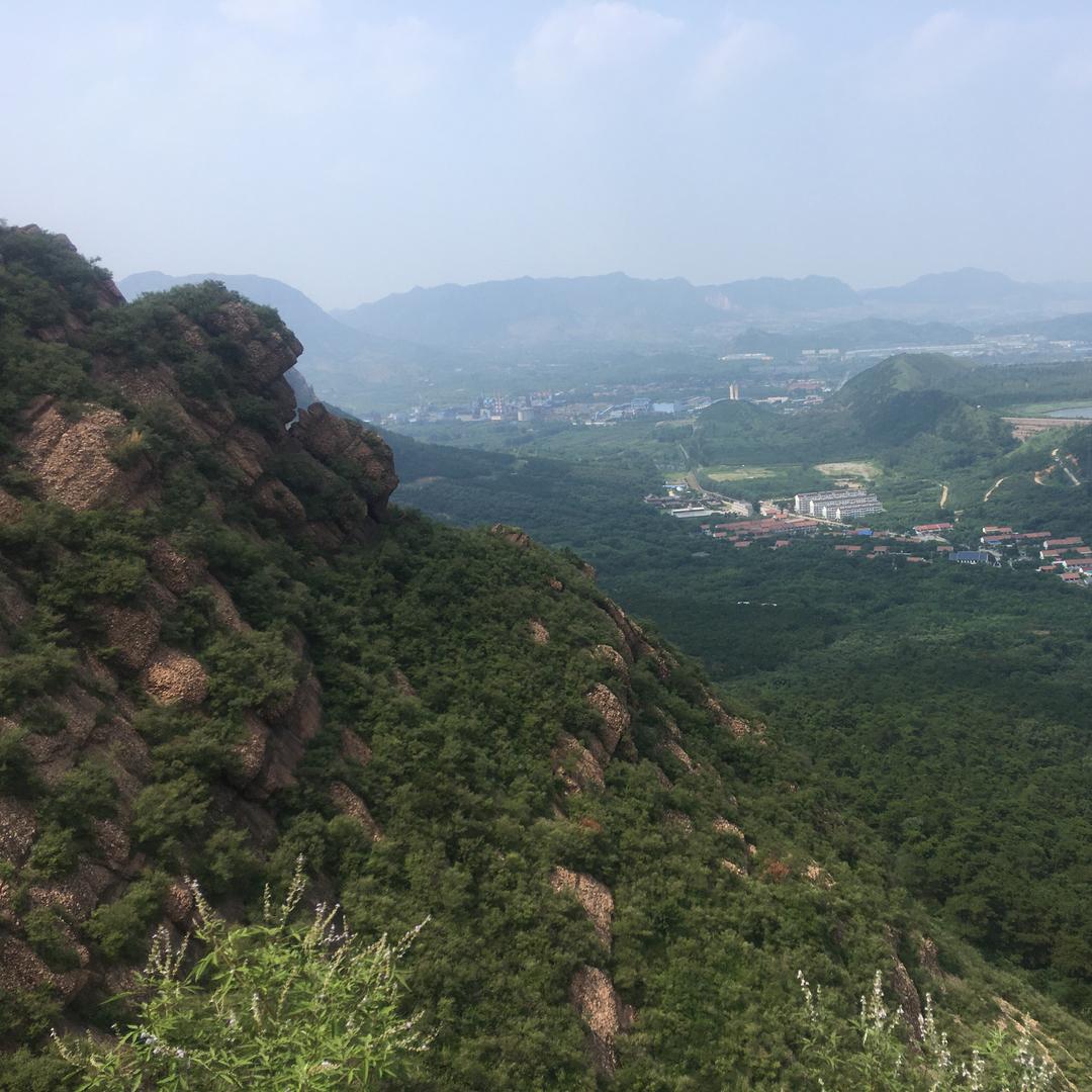 李大哥