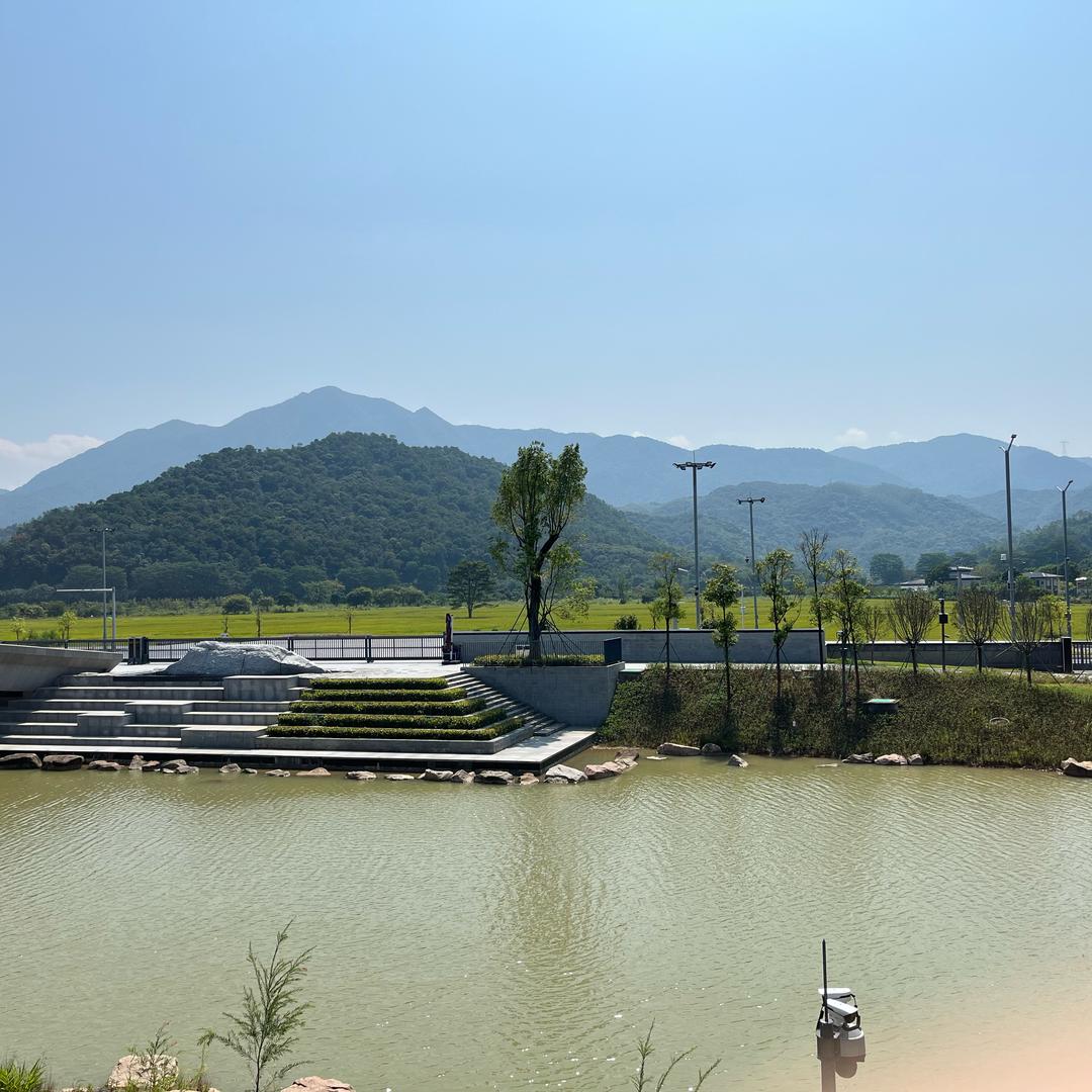伍老师的语文课