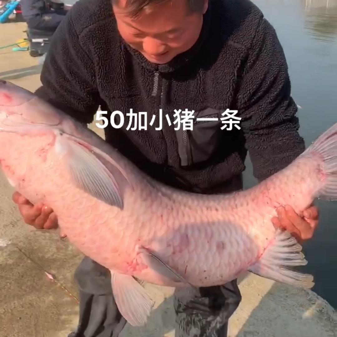 征青小超（三生钓鱼台）