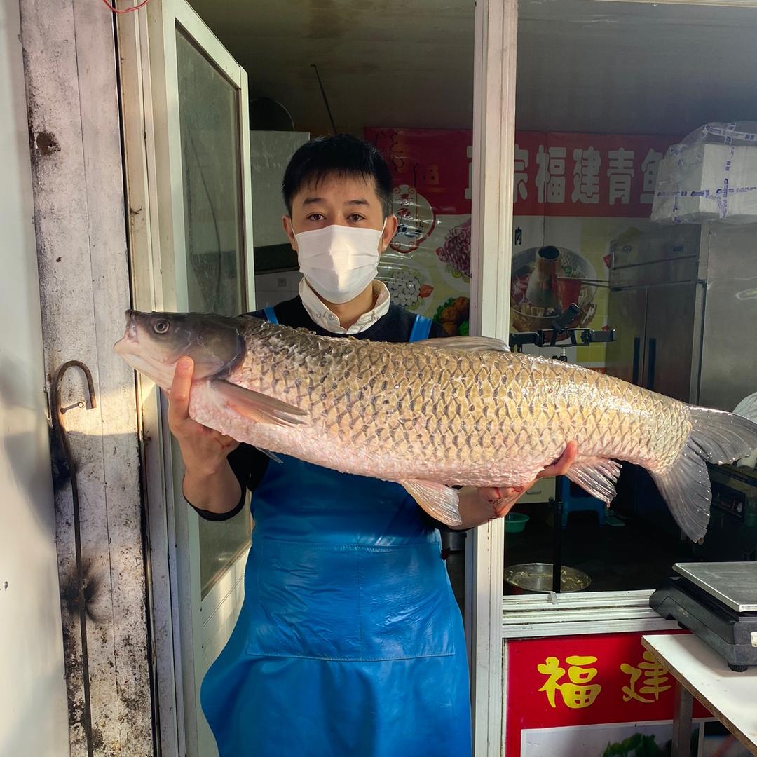 鱼丸兄弟（鱼丸哥）