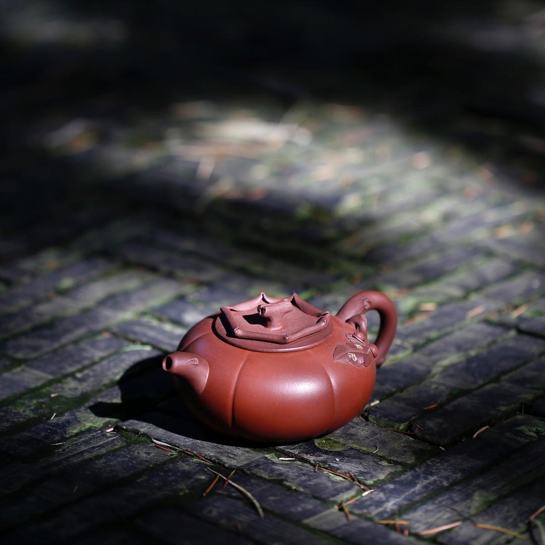 姐弟紫砂名品汇（直播号同名）