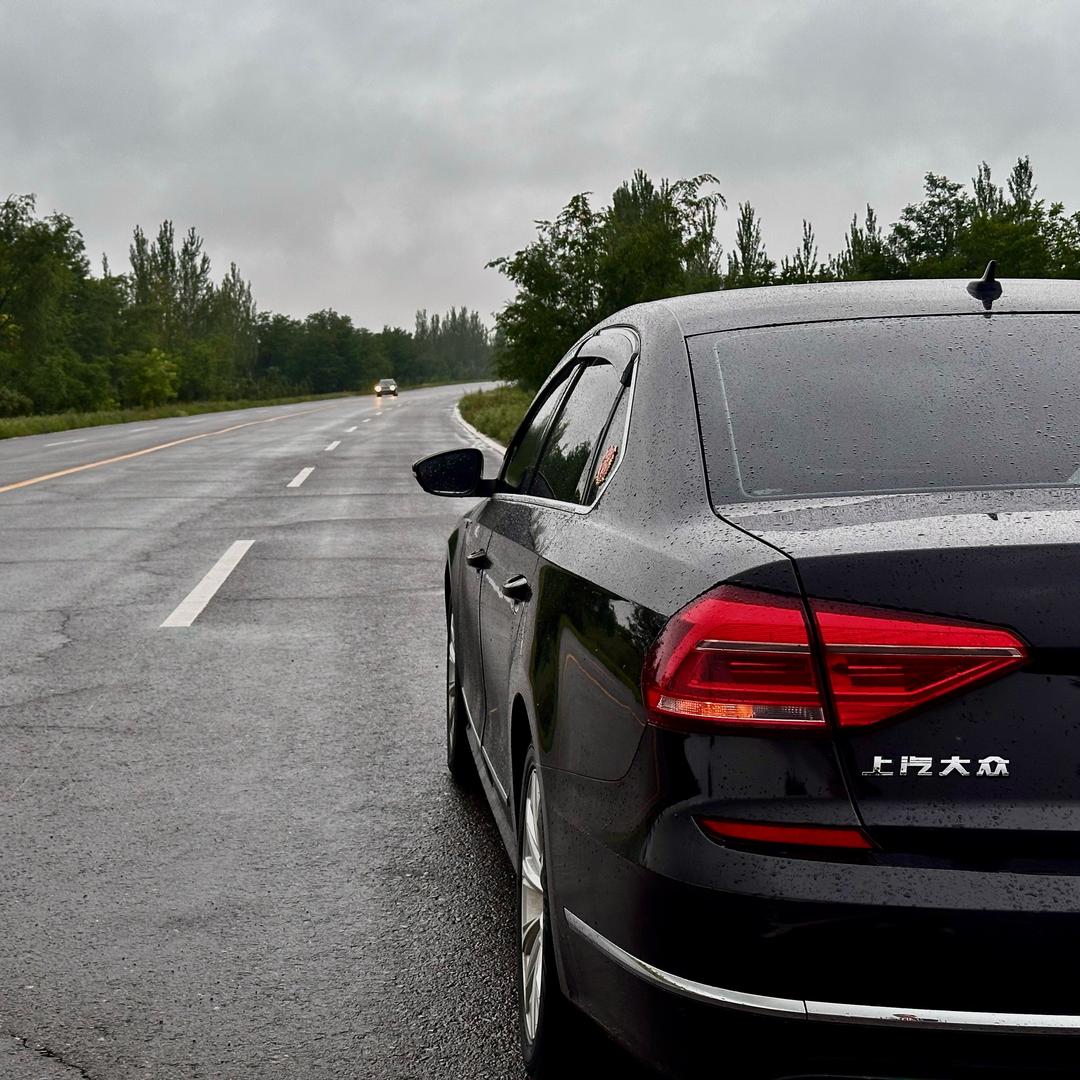 加菲和他的帕先森