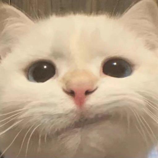 哪吒