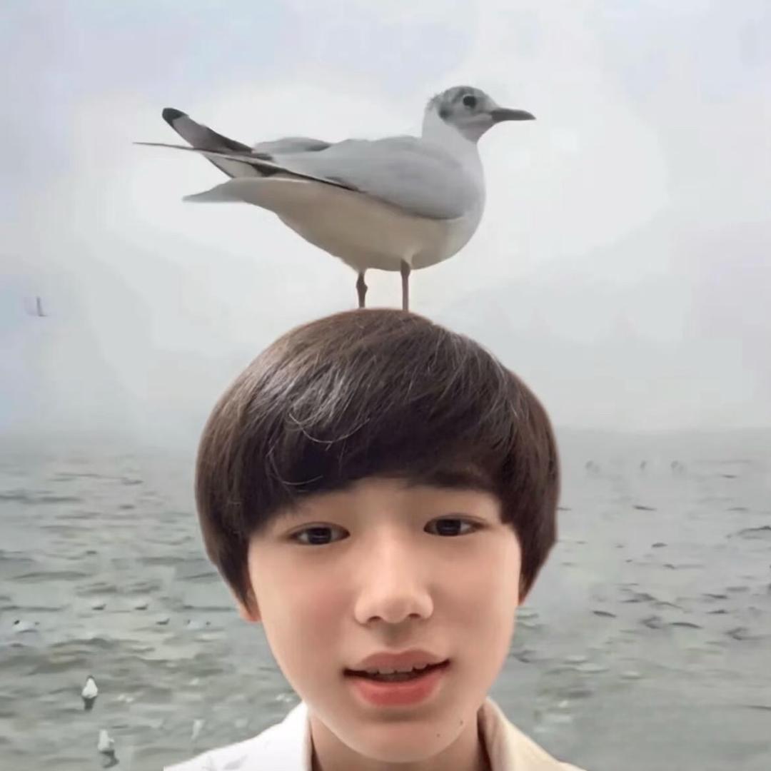 ￴￴ ￴￴ ￴ ￴￴来个盆～