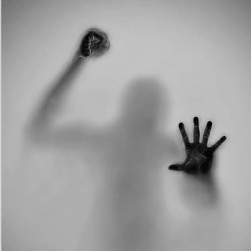 路上的朋友.🚶