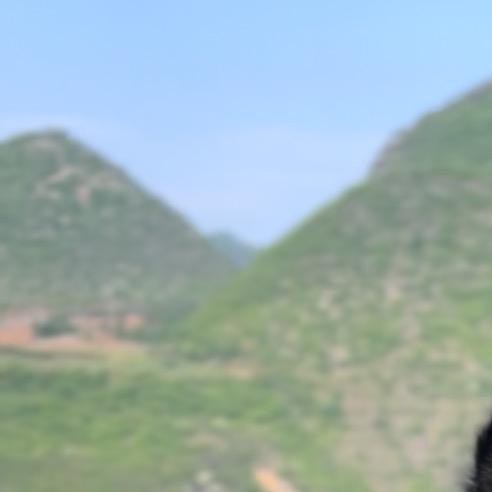 升长脖子往外看