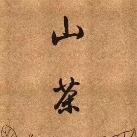 【山茶】服装店
