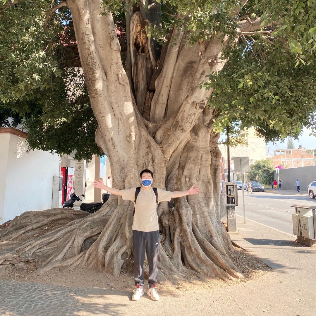 西红柿软绵绵的