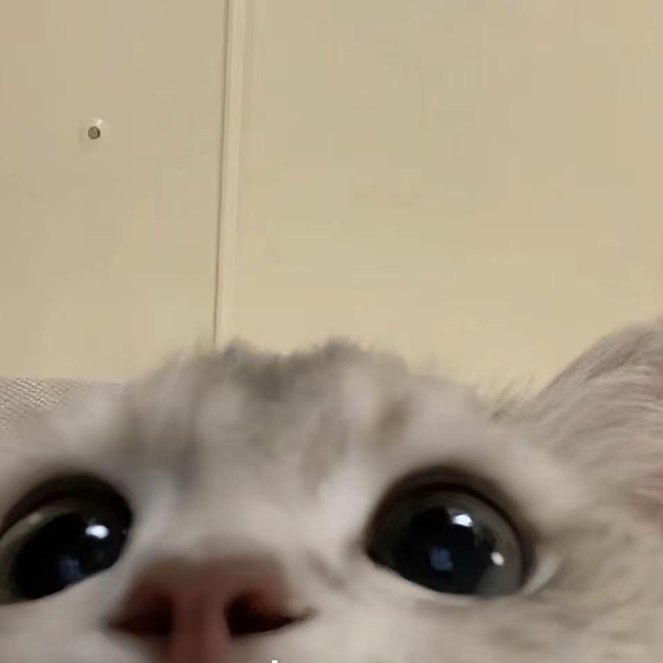 偶尔牙疼