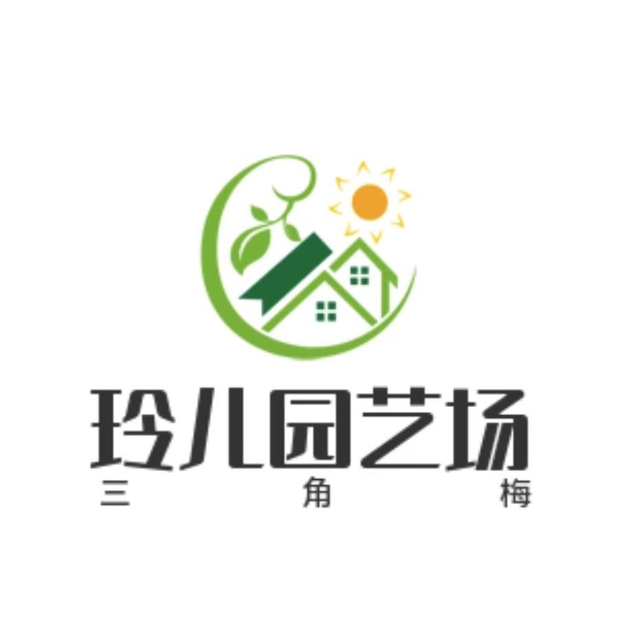 玲儿园艺三角梅