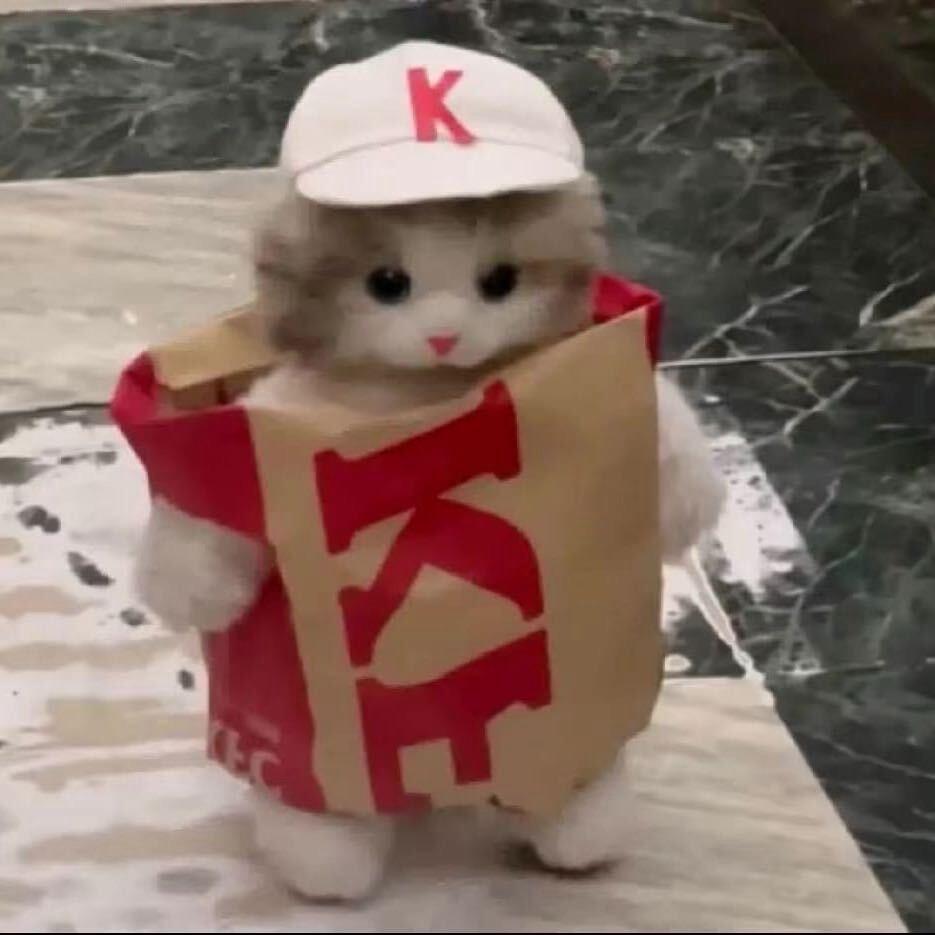 发财柠檬茶🎀🎉.