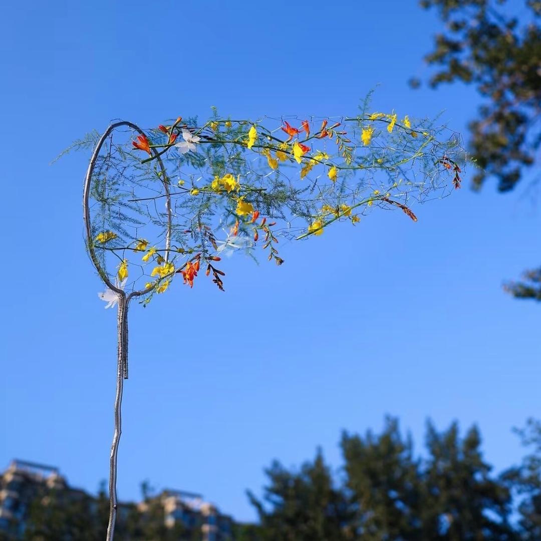 D.（见过十勤版）