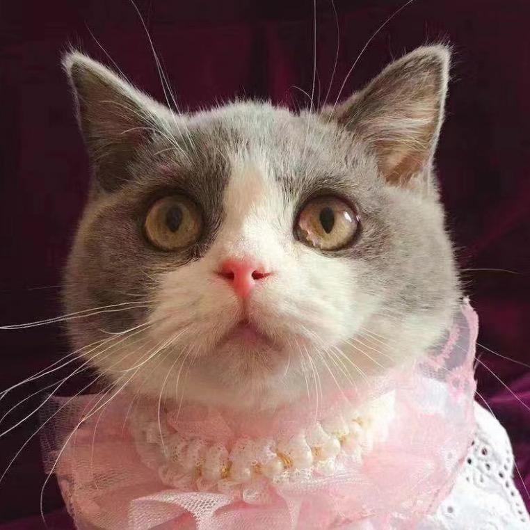 哎呦喂😽