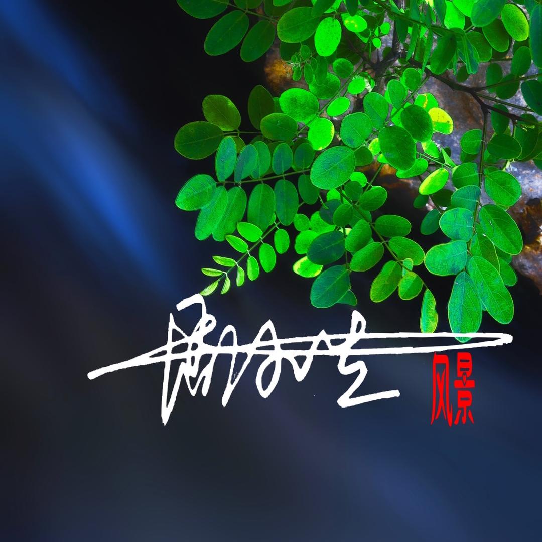 周小生《TT》🎬
